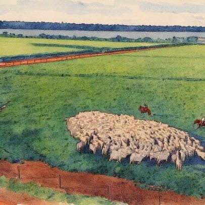 Roncador se destaca no agro ao promover a pecuária sustentável e inovadora