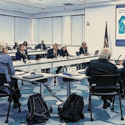 Painel de vacinas adia votação sobre a primeira dose de hepatite B em bebês