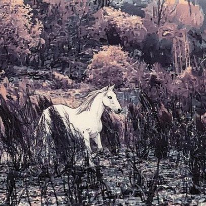 Renascem florestas e comunidades após incêndios devastadores na Espanha