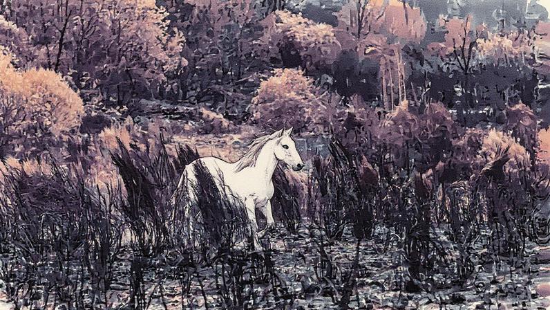 Ana Sánchez e Leopoldo Nogueira em frente à sua casa destruída pelos incêndios em San Vicente de Leira, Ourense (Foto: Reprodução)