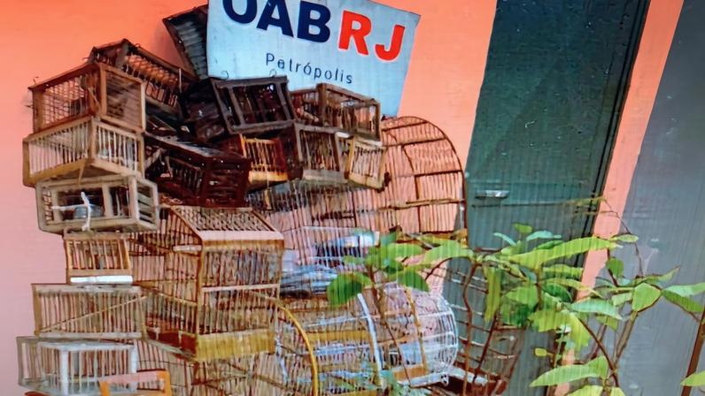 Campanha da OAB contra gaiolas de passarinhos (Foto: Reprodução)