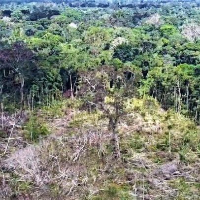 Golpes financeiros proliferam em Rondônia, alertam autoridades locais