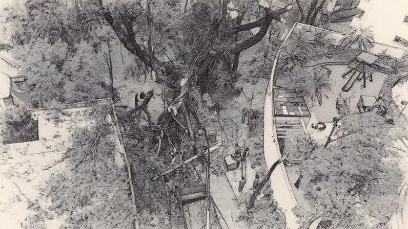 Estragos causados pelo temporal em Higienópolis, região central de São Paulo (Foto: Reprodução)