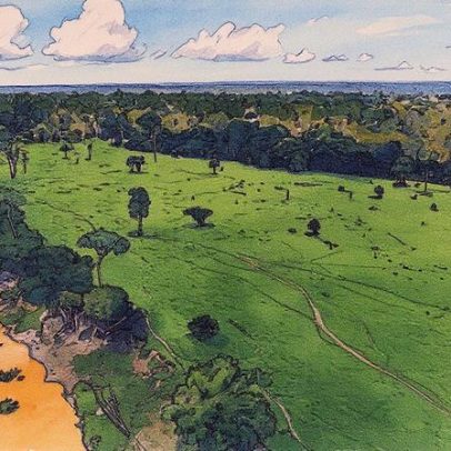 Brasil enfrenta dilema entre a COP30 e a destruição ambiental crescente