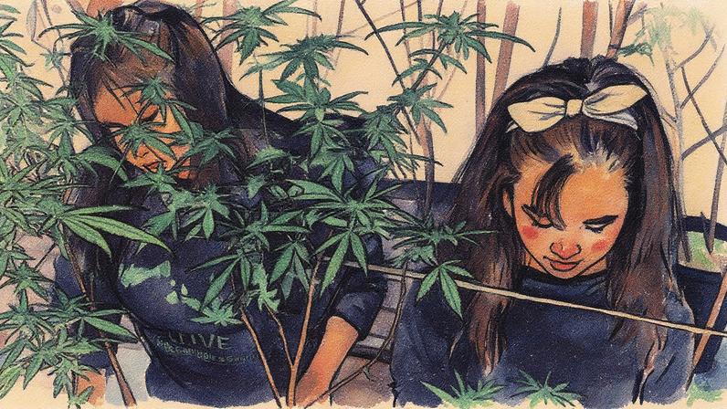 Novo filme de Beto Brant aborda a temática da cannabis medicinal no Brasil (Foto: Reprodução)