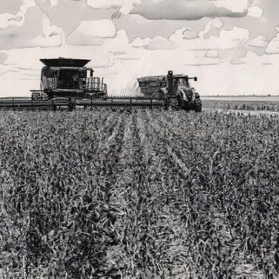 Soja terá custo de produção elevado em 2025/26 devido ao aumento dos insumos