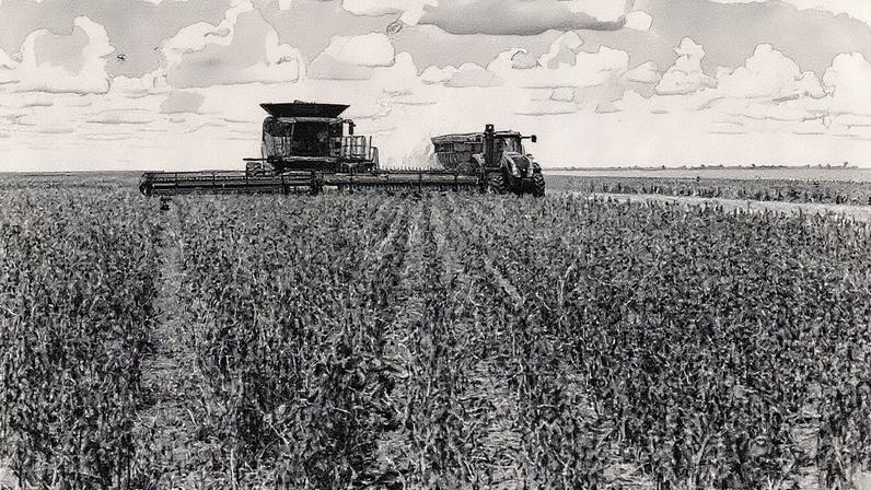 Colheita de soja em campo no oeste da Bahia (Foto: Reprodução)
