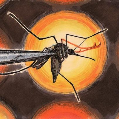 Bilhões de mosquitos geneticamente modificados e vacina prometem combater dengue