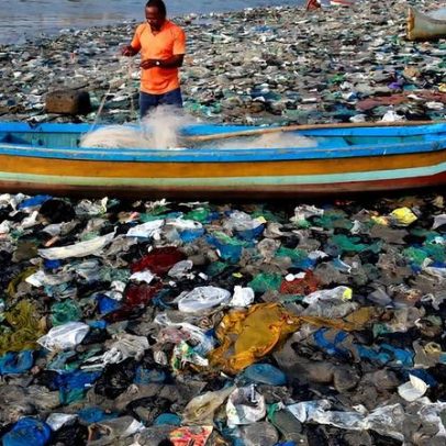 Copinhos descartáveis poluem oceanos e demoram anos para se decompor