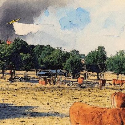 Espanha avalia os danos causados pelo "verão de pesadelo" das queimadas