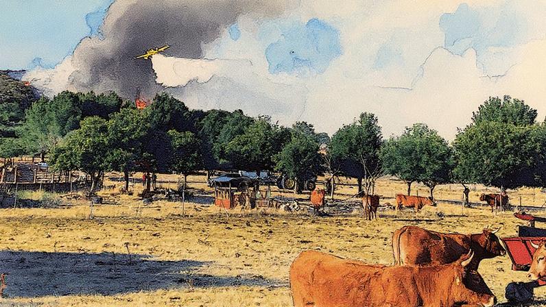 Avião de combate a incêndios lança água sobre um incêndio florestal recente (Foto: Reprodução)