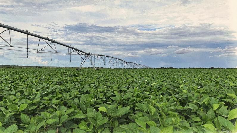 Fazenda do Meio, da BrasilAgro, localizada na Bahia (Foto: Reprodução)