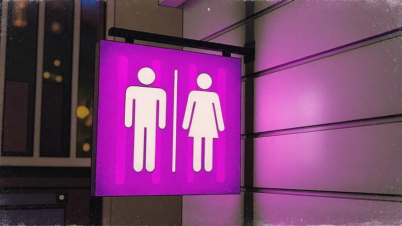 Banheiro público com divisórias e pias (Foto: Reprodução)