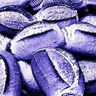 Padocaria divulga votação para eleger as melhores padarias de São Paulo