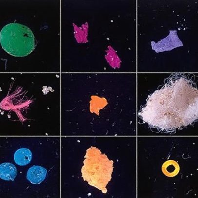 Microplásticos contaminam peixes e comprometem a produção agrícola nacional