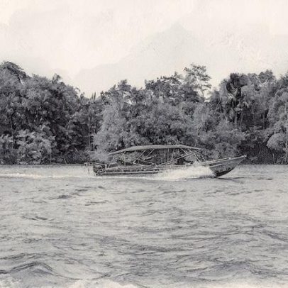 Natura destaca modelo de negócio durante a COP30 e busca novas oportunidades