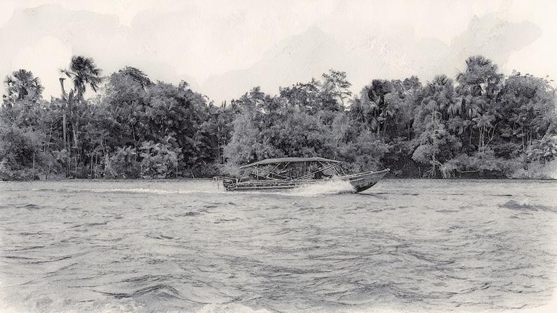 Empresa de cosméticos estima que sua rede de fornecimento contribui para a conservação de 2,2 milhões de hectares na Amazônia (Foto: Reprodução)