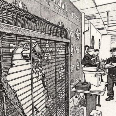 Criminosos forçam nascimento de animais silvestres e os transportam em sacos plásticos