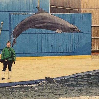 Zoo Selwo Marina envia nove delfines para novo lar na China