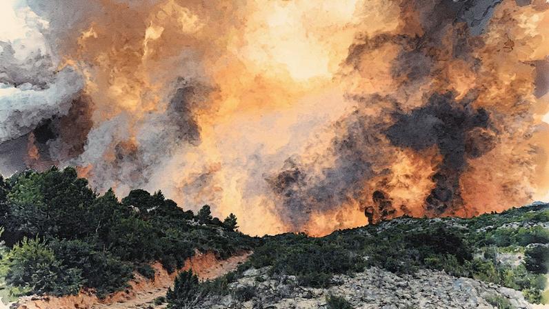 Floresta em chamas na região de Fontjoncouse, no sudoeste da França, durante onda de calor (Foto: Reprodução)