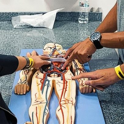 Cruzeiro do Sul concede bolsa 100% para graduação 2026; inscreva-se