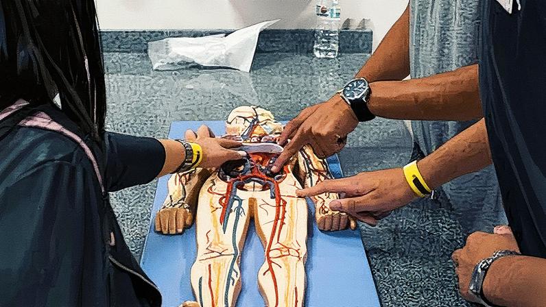 Cruzeiro do Sul Educacional vai realizar uma espécie de feira de profissões, um evento gratuito com oficinas e palestras para estudantes do ensino médio • Divulgação