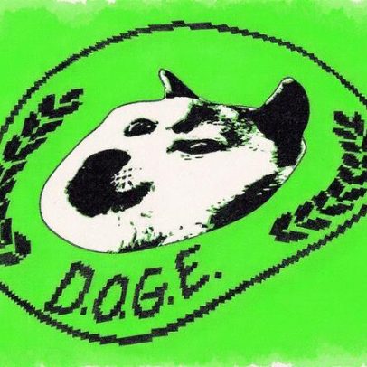 DOGE pode estar armazenando CPF de todos os americanos em servidor inseguro