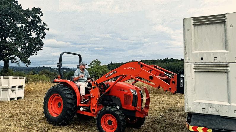 David Polite, winegrower at Carlton Hill Vineyard helps load grapes during harvest. Credit: GC Wines