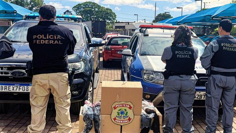 Apreensão de cabelos humanos pela PRF (Foto: Reprodução)