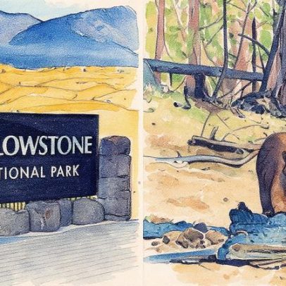 Urso ataca homem em parque nos EUA, marcando primeiro incidente em quatro anos