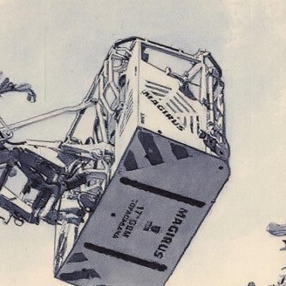 Bombeiros resgatam sabiá em apuros na praia de Ipanema; assista ao vídeo