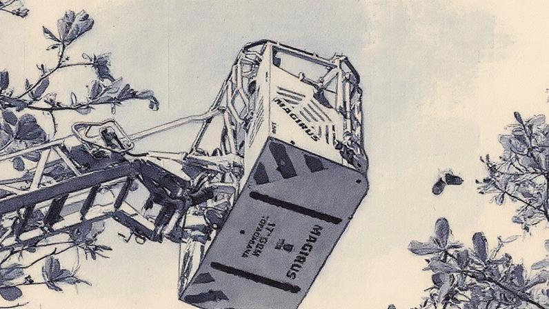 Sabiá preso em fiação de pipa em Ipanema (Foto: Reprodução)