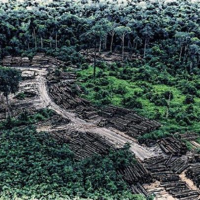 Brasil implementa sistema de inteligência artificial para monitorar toda a Amazônia