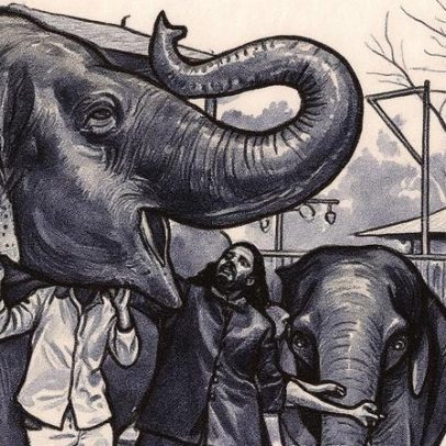 Megazoológico de bilionário gera polêmica e críticas na Índia