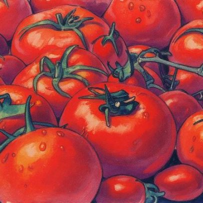 Tomate é destacado por cientistas como aliado da saúde do coração, pele e visão