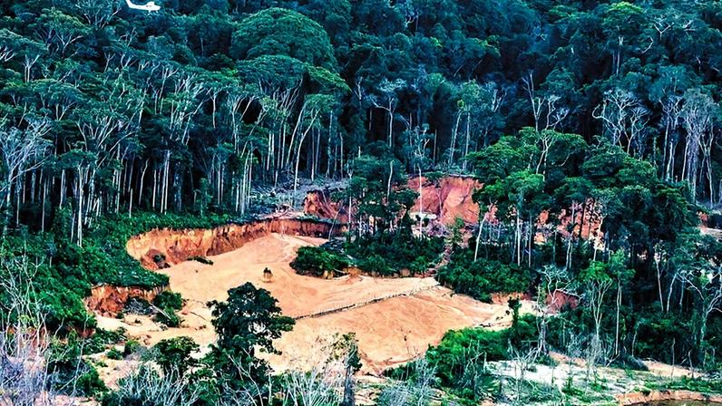 Avião sobrevoa área de mineração ilegal na terra indígena Yanomami (Foto: Reprodução)
