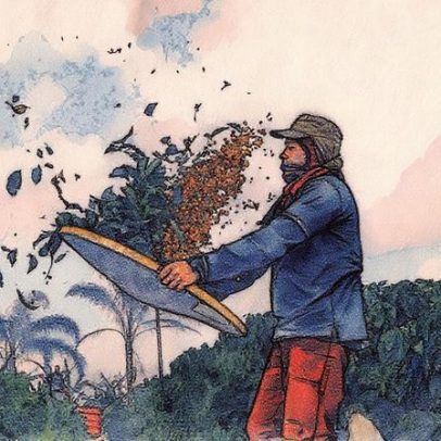 Café brasileiro enfrenta dificuldades nos EUA com tarifas, enquanto Vietnã e Colômbia crescem