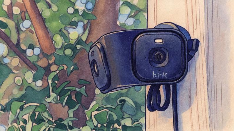 A still from Amazon’s GIF showing the Blink Arc’s 180-degree field of view.