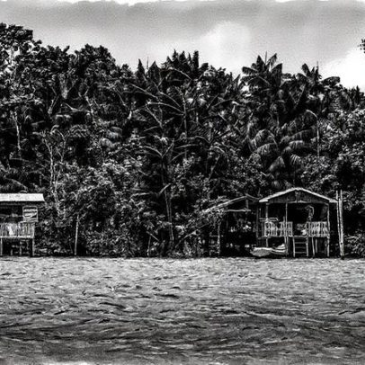 Brasil assume papel equilibrado na COP30 entre desafios e oportunidades ambientais