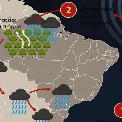 Floresta gera chuvas e mantém o equilíbrio climático do planeta