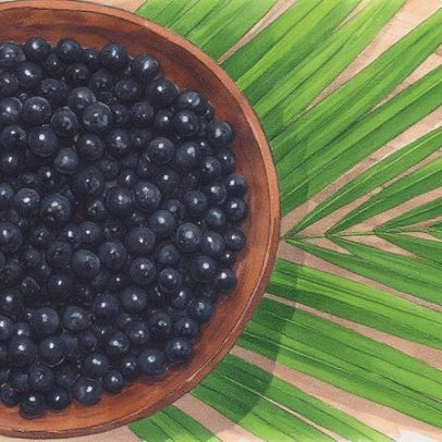 Brasileiro no interior gasta quase um salário-mínimo anualmente com açaí