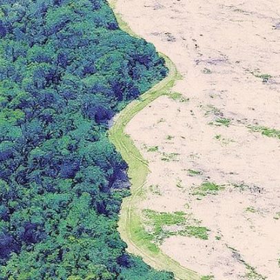 Amazônia perde 20% de sua cobertura florestal em quatro décadas de desmatamento