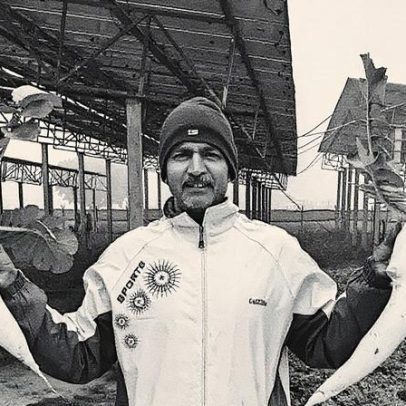 Agricultores adotam cultivo sob painéis solares para aumentar a produção sustentável