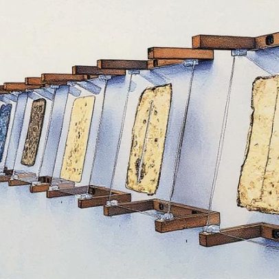 Edifícios vivos e autorreparáveis transformam a arquitetura moderna com inovação