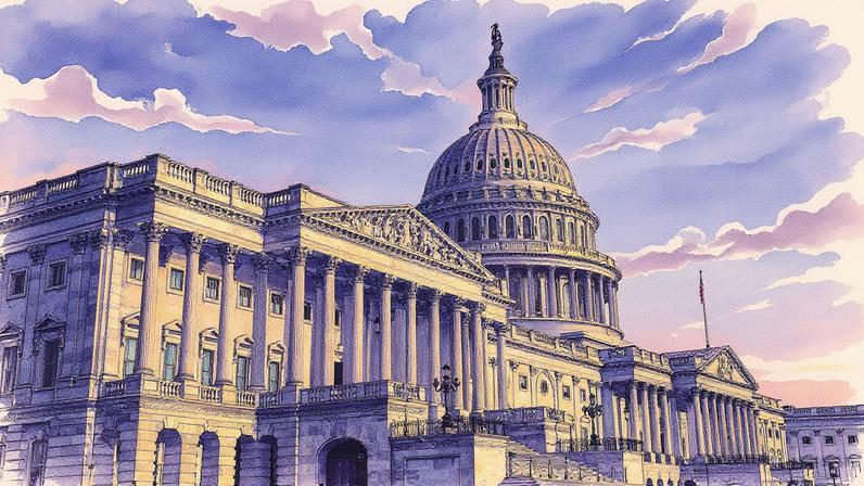 Gansos em um gramado próximo à Casa Branca, em Washington, Estados Unidos (Foto: Reprodução)