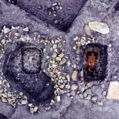 Livro revela a origem das línguas indo-europeias, incluindo o português