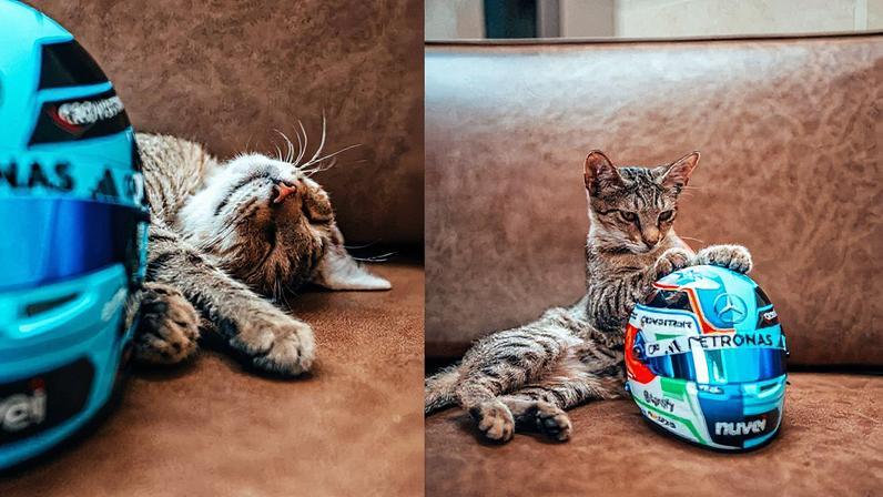 Gatinho chamado Kitty Antonelli é visto no paddock do GP do Azerbaijão de F1 2025 (Foto: Reprodução)
