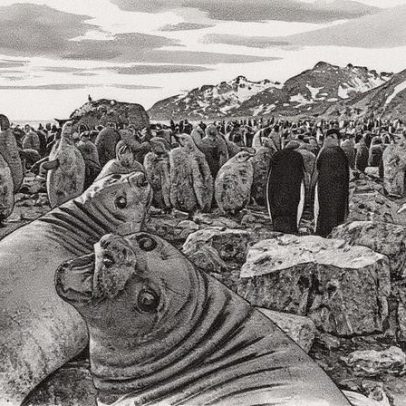 Sebastião Salgado reflete sobre a percepção do tempo e a natureza das montanhas