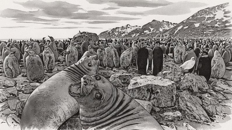 Paisagem na Baía de Saint Andrews, Geórgia do Sul, com montanhas e gelo (Foto: Reprodução)