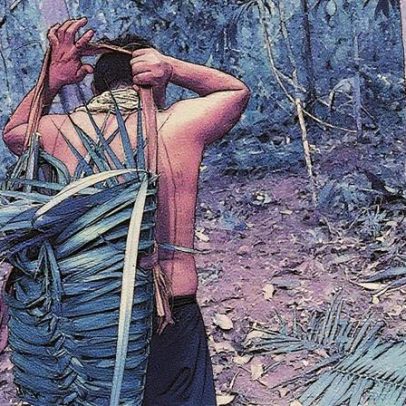 Territórios indígenas ajudam a controlar doenças na Amazônia